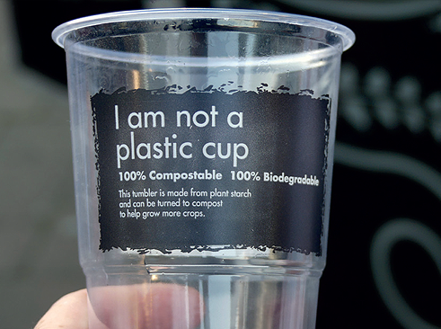 Is Bioplastic a Plastic?