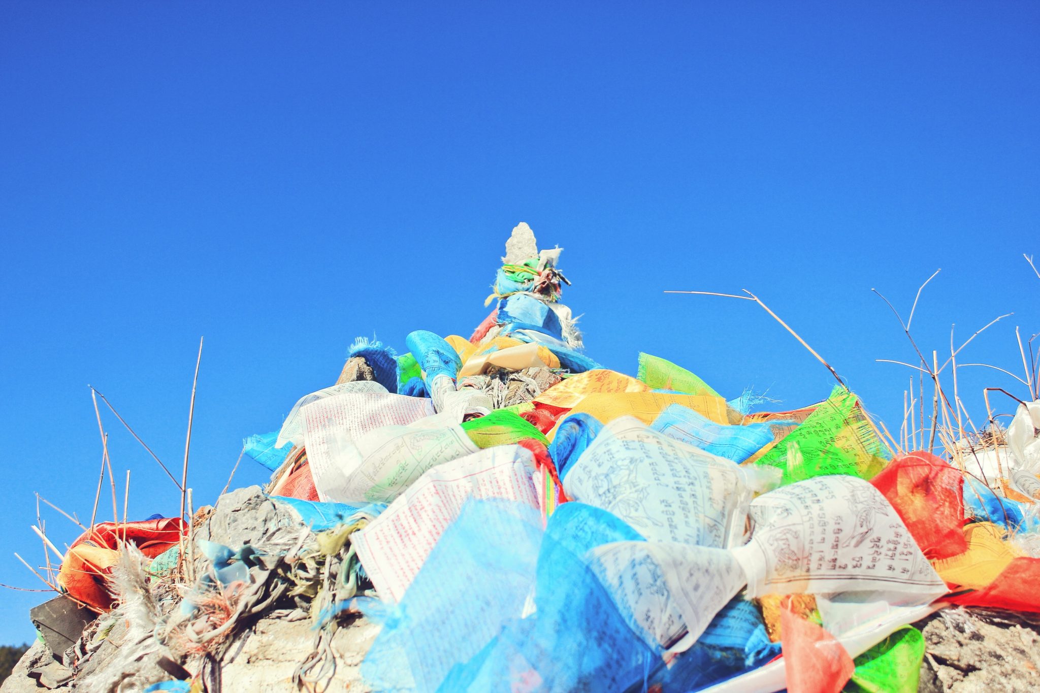 Is Polyester Good for the Environment? Sparkoncept Biodegradable plastic products