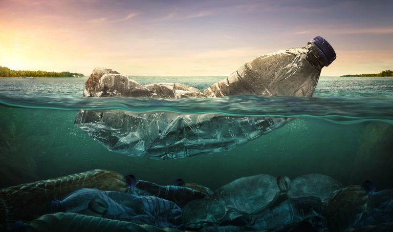 Understand the Causes of Marine Pollution | Sparkoncept | Biodegradable ...