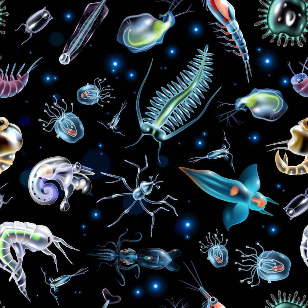 Does Plastic Kill Phytoplankton? | Sparkoncept | Biodegradable plastic  products