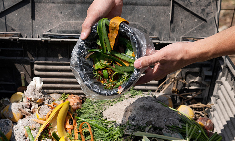 Composting 101: Turn Kitchen Scraps into Garden Gold