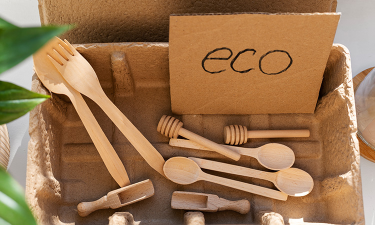 Understanding the Importance of Biodegradable and Recycled Products