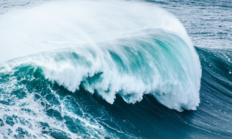 Wave Energy: Riding Nature's Power