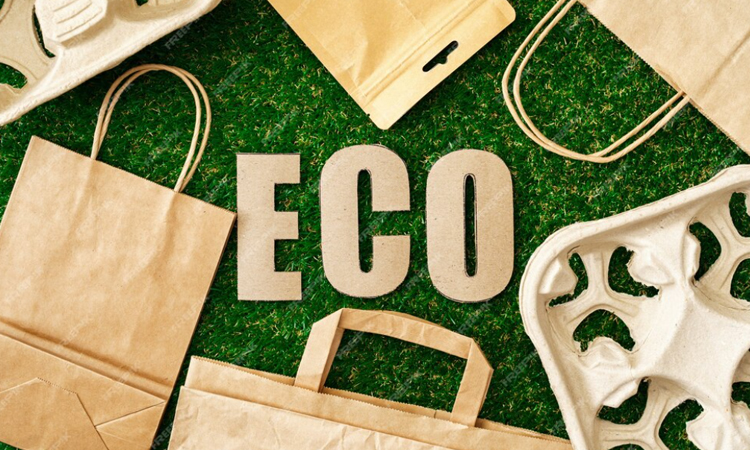 Embracing Eco-Friendly Materials: Building a Sustainable Future