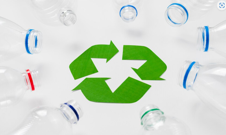 Breaking Free: The Journey to Reduce Single-Use Plastics