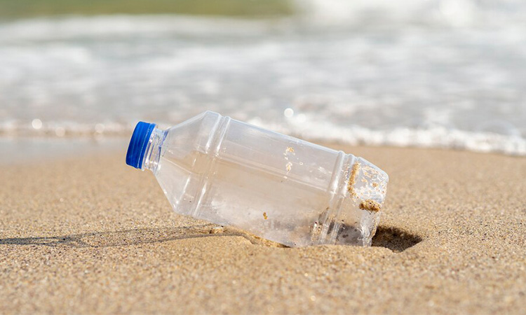 Navigating Plastics: Making Safer Choices for a Sustainable Tomorrow